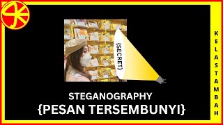 TEHNIK INTELIJEN BONGKAR PESAN RAHASIA DALAM GAMBAR